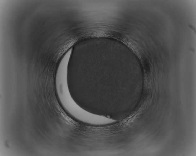 X0000097800393200803281040