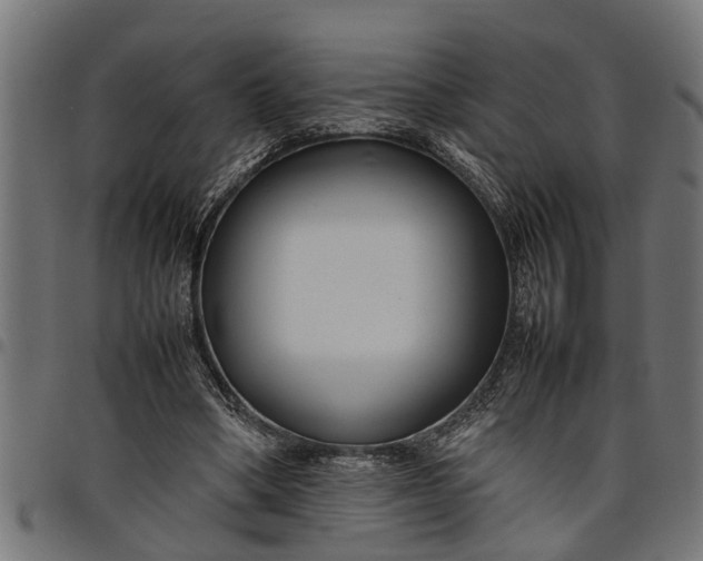 X0000097800394200803281040