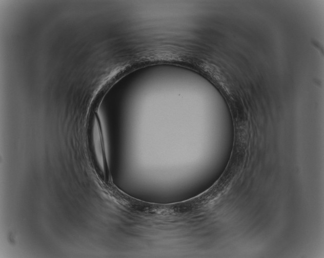 X0000097800395200803281040