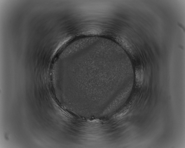 X0000097800396200803281040