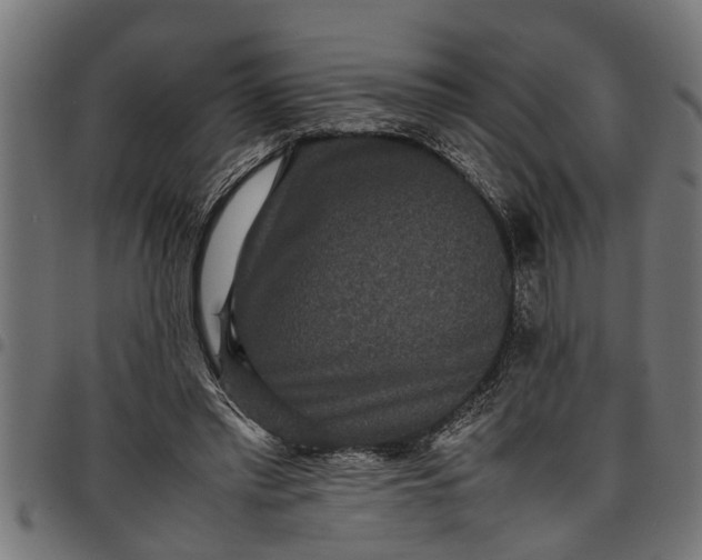 X0000097800397200803281040