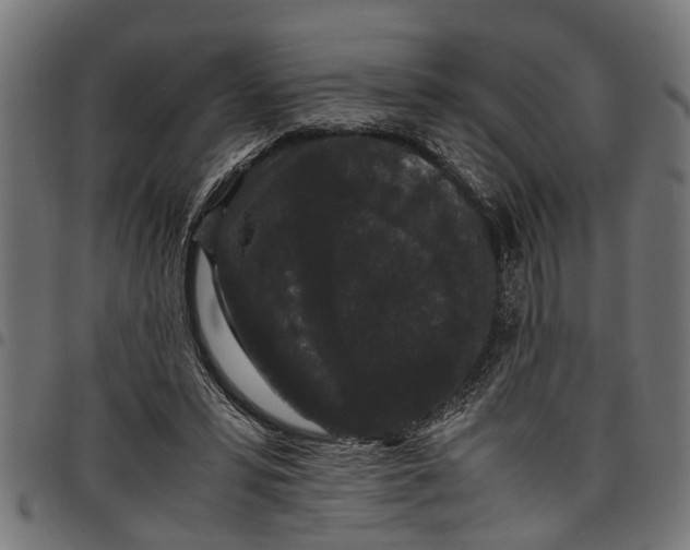 X0000097800399200803281040