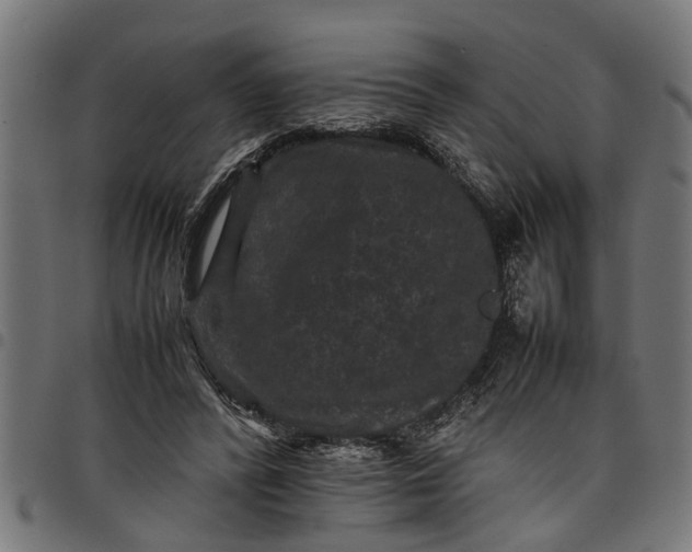 X0000097800400200803281040