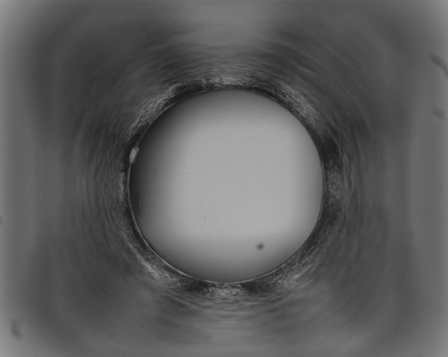 X0000097800401200803281040