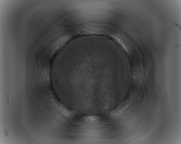 X0000097800402200803281040