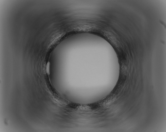 X0000097800403200803281040