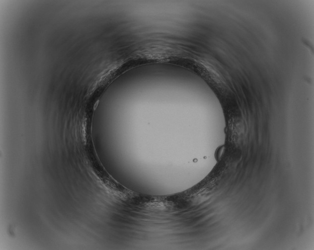 X0000097800404200803281040