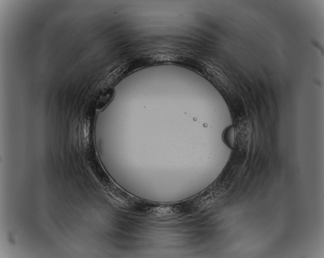 X0000097800406200803281040