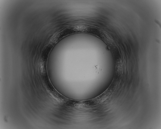 X0000097800408200803281040