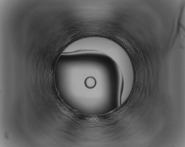 X0000097800409200803281040