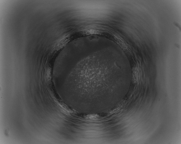 X0000097800410200803281040