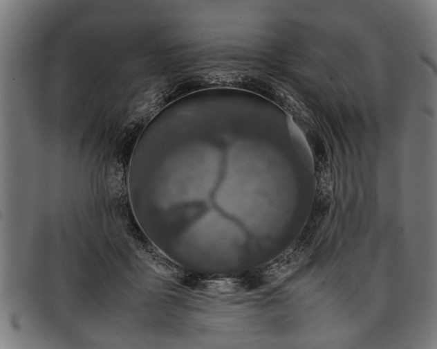 X0000097800411200803281040