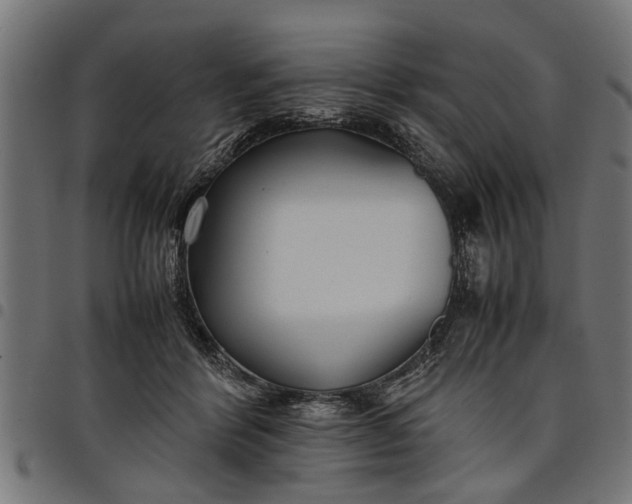 X0000097800412200803281040