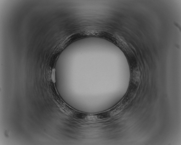 X0000097800413200803281039