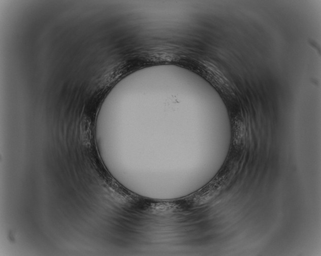 X0000097800414200803281039