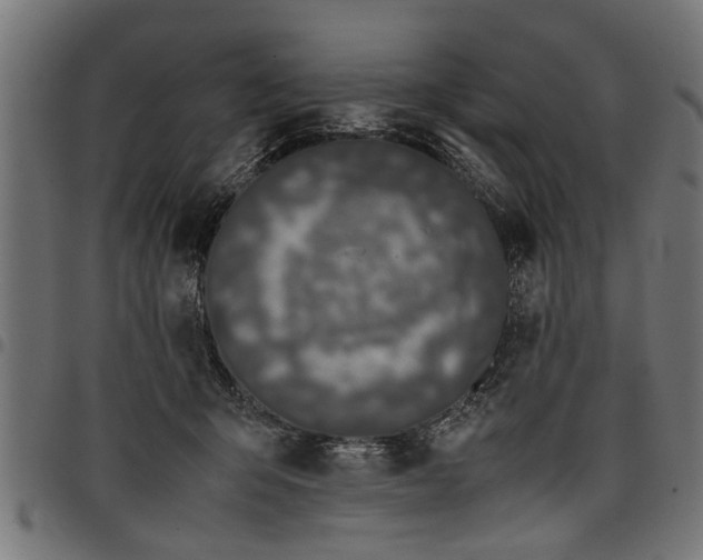 X0000097800415200803281039