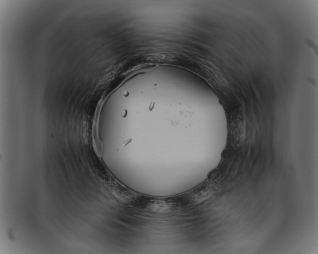 X0000097800416200803281039