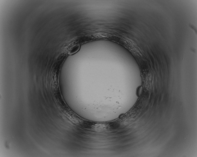 X0000097800418200803281039