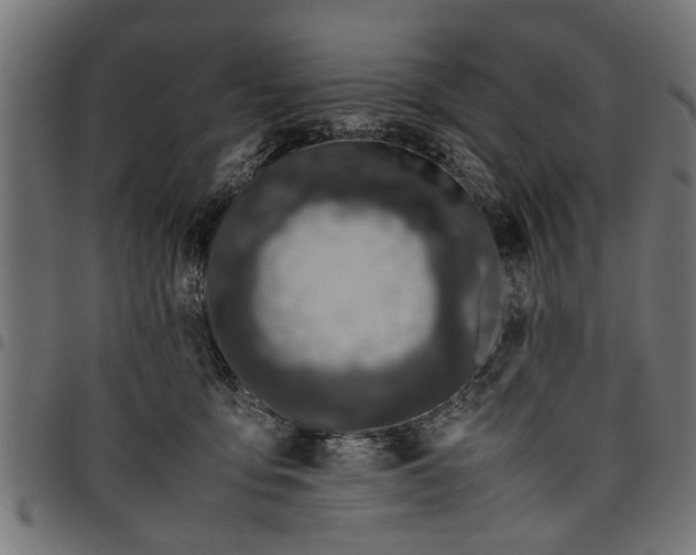 X0000097800419200803281039