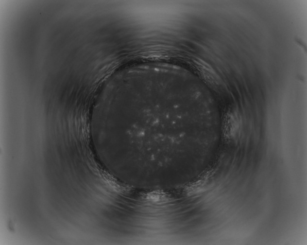 X0000097800420200803281039