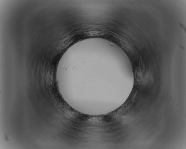 X0000097800422200803281039