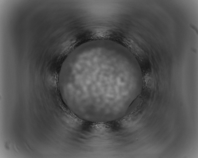 X0000097800423200803281039