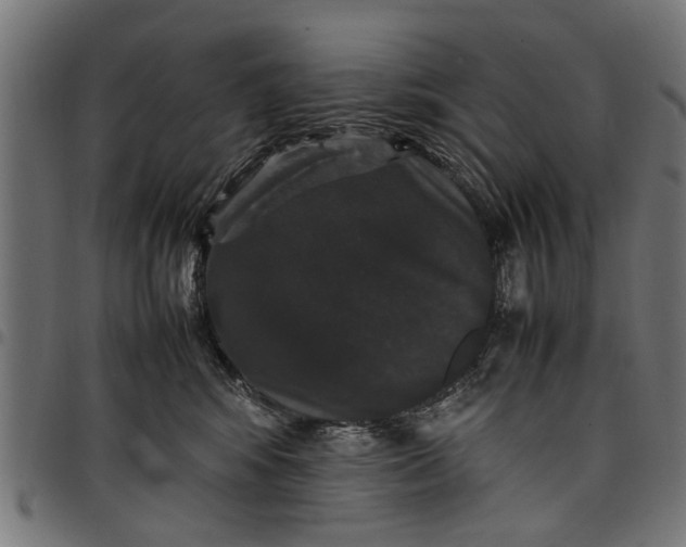 X0000097800424200803281039