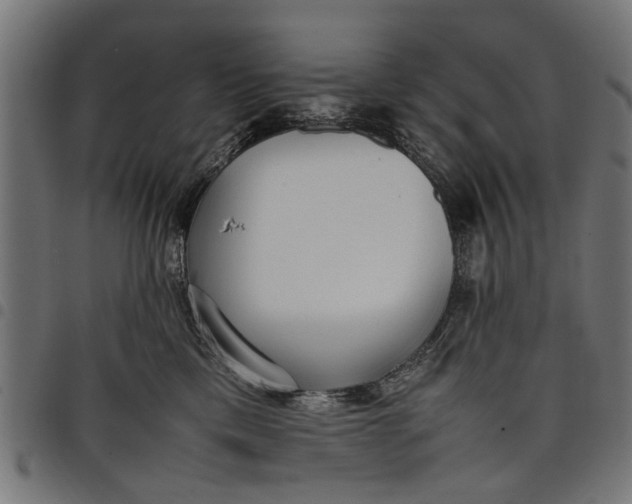 X0000097800425200803281039