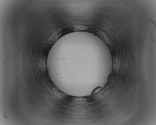 X0000097800426200803281039