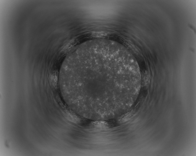 X0000097800427200803281039