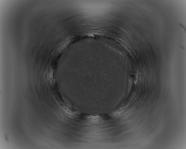 X0000097800428200803281039