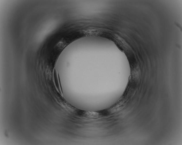 X0000097800429200803281039