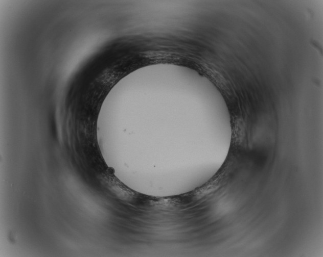 X0000097800430200803281039