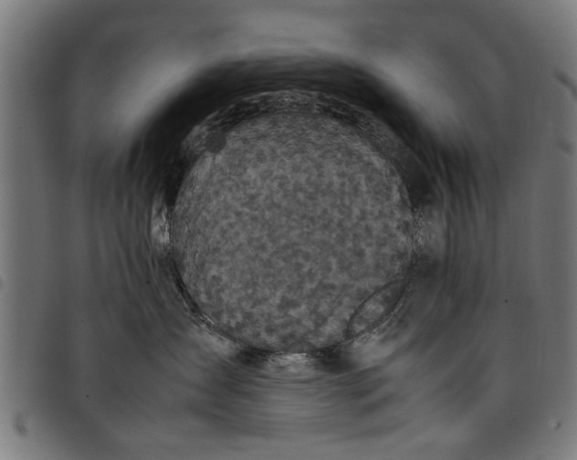 X0000097800431200803281039