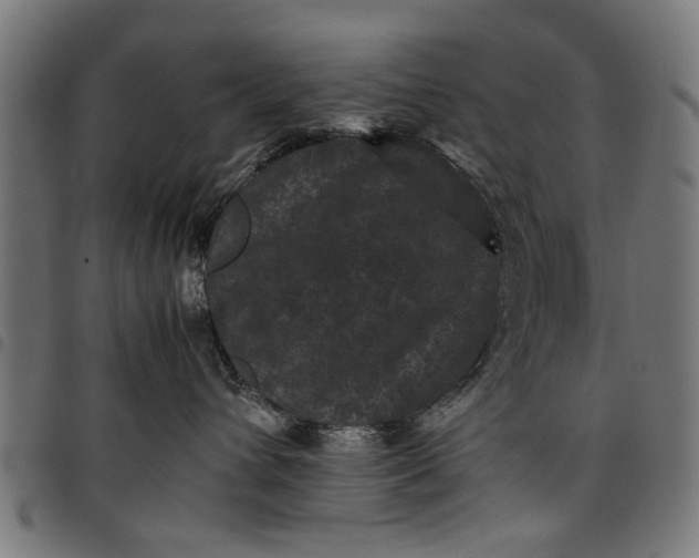 X0000097800432200803281039