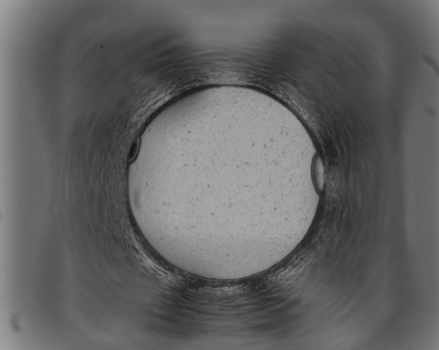 X0000097800433200803281039