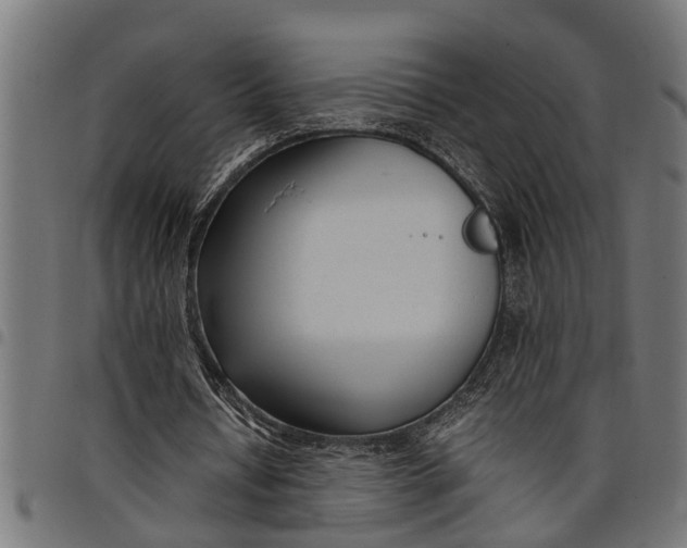 X0000097800434200803281039