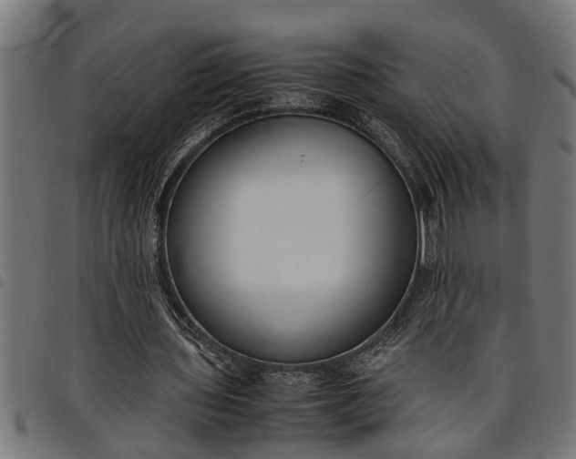 X0000097800435200803281039