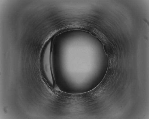 X0000097800436200803281039