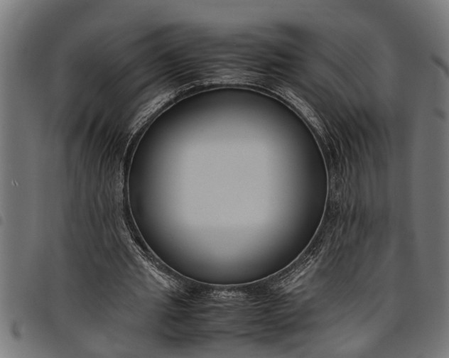 X0000097800437200803281039