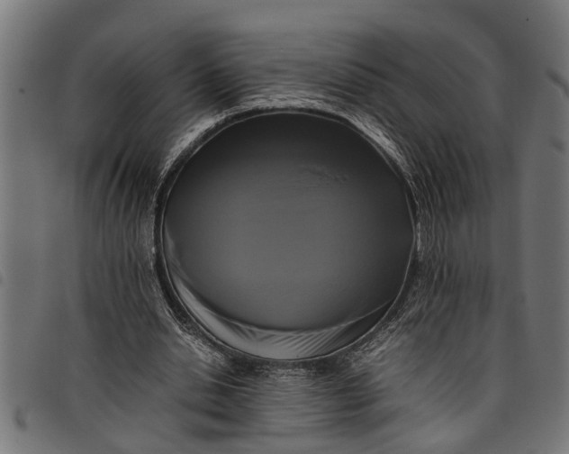 X0000097800438200803281039