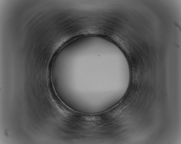 X0000097800439200803281039