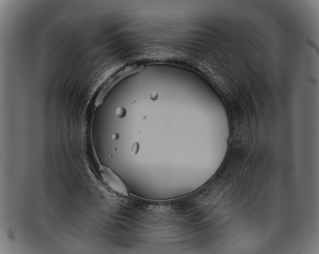 X0000097800440200803281039