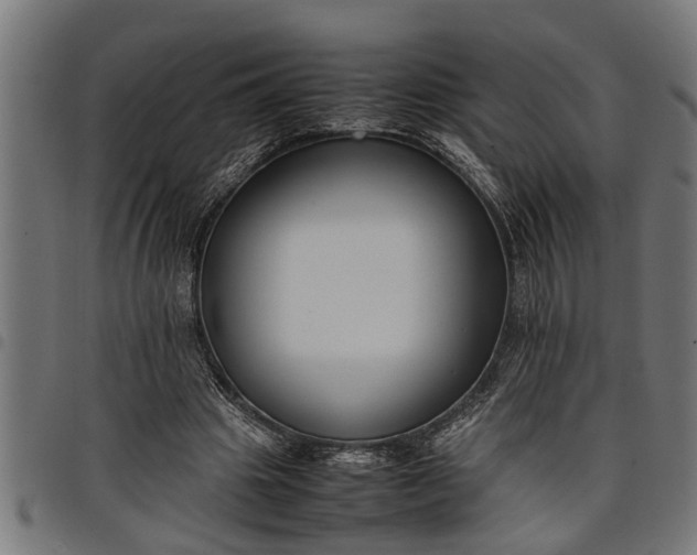 X0000097800441200803281039