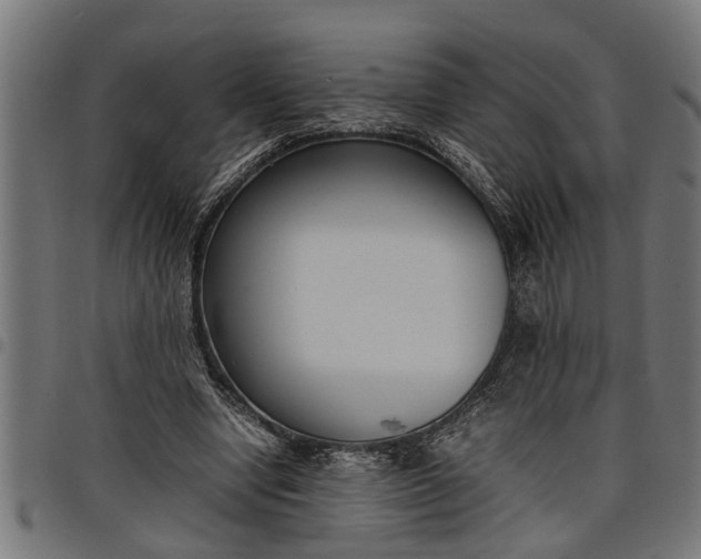 X0000097800442200803281039