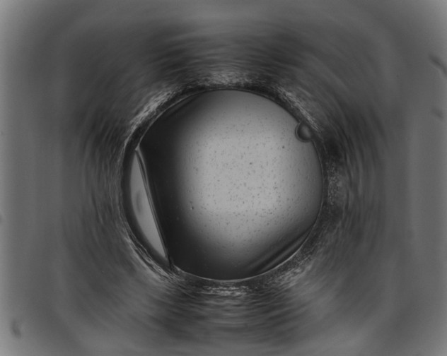 X0000097800443200803281039