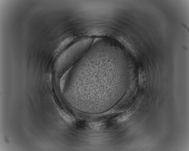 X0000097800444200803281039