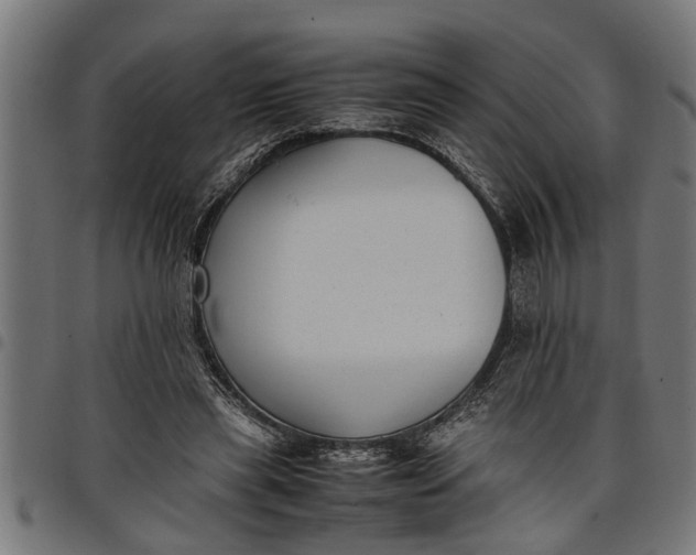 X0000097800445200803281039