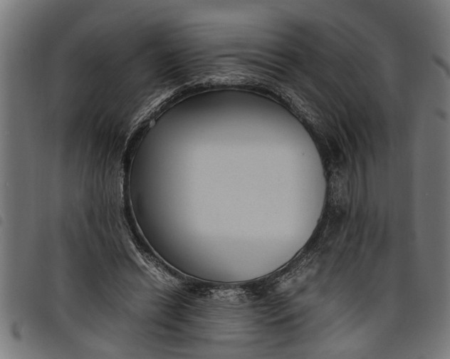 X0000097800446200803281039