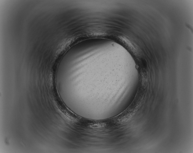 X0000097800447200803281039